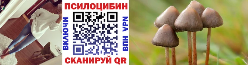 Купить где  Йошкар-Ола  Псилоцибиновые грибы Psilocybine cubensis 